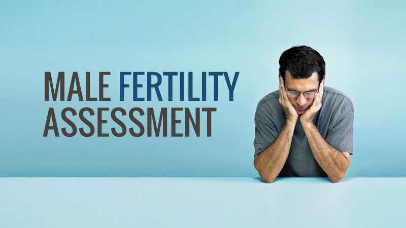 Male Fertility Assessment
