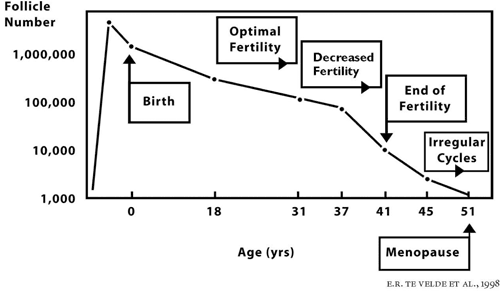 Ovarian Reserve Fertility Test - KL Fertility Centre