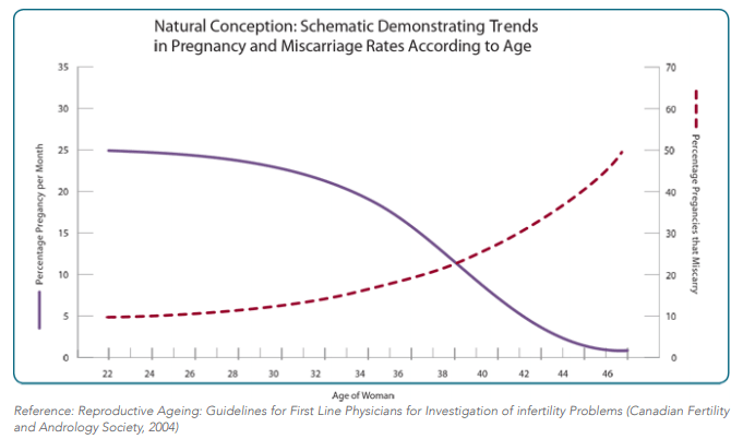 Schematic Demonstrating Trends in Pregnancy and Miscarriage Rates According to Age