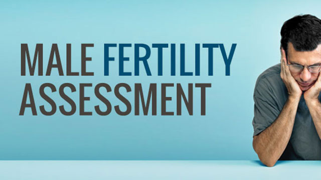 Male Fertility Assessment