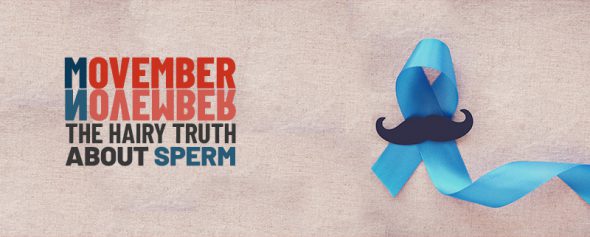 Movember November - The Hairy Truth About Sperm