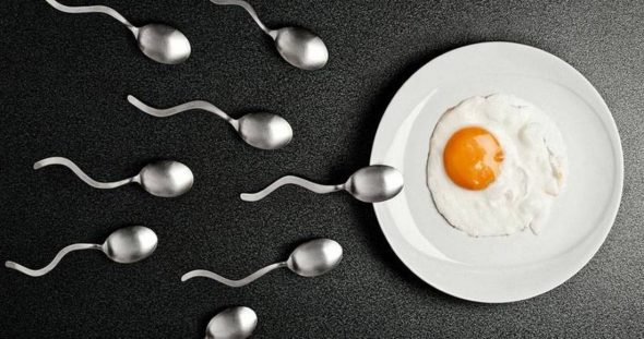 Sperm Count Halved in Sons of Smoking Dads