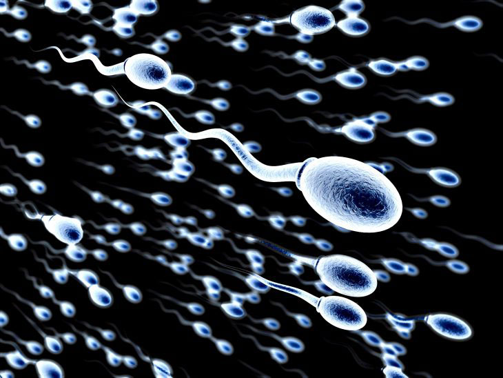 What does Semen Analysis Say about your Fertility