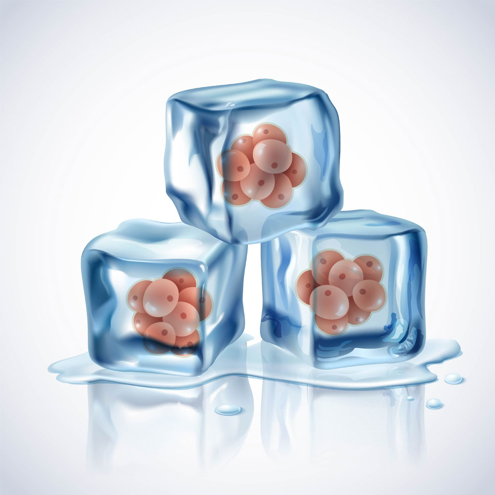 Frozen Embryo Transfers (FET)