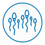 Sperm Count