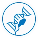 Sperm DNA Fragmentation