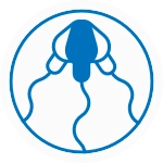 Sperm Morphology
