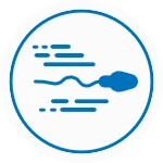 Sperm motility